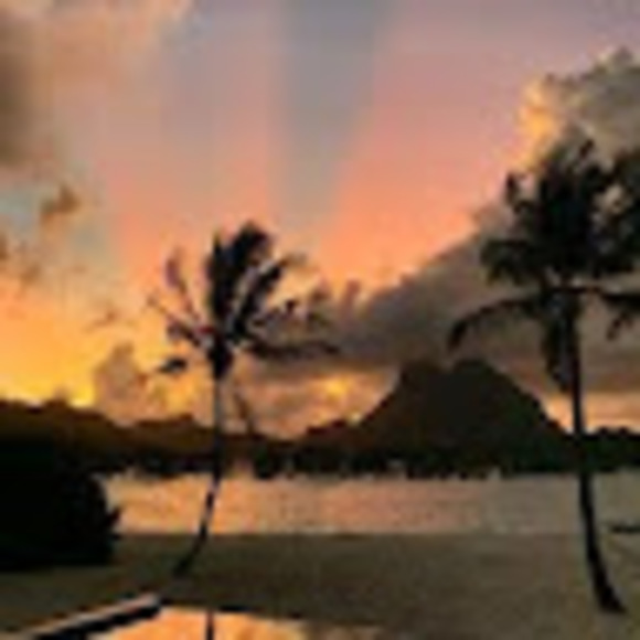 Meet your Posher, Riley - Picture 1 of 1